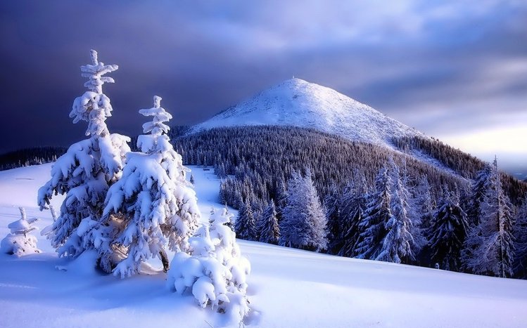 Winter Forest Theme screenshot #12