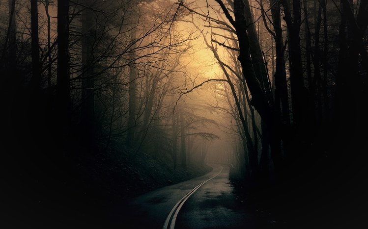 Night Forest Theme screenshot #15