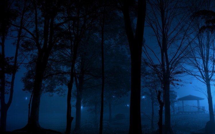 Night Forest Theme screenshot #6