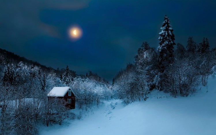 Night Forest Theme screenshot #3