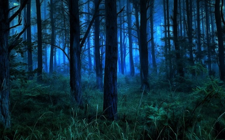 Night Forest Theme screenshot #14