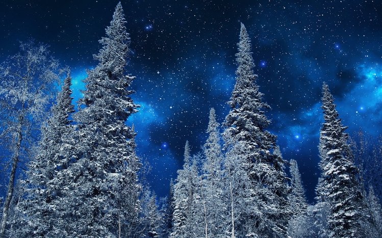 Night Forest Theme screenshot #13