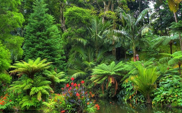Tropical Rainforest Theme screenshot #6