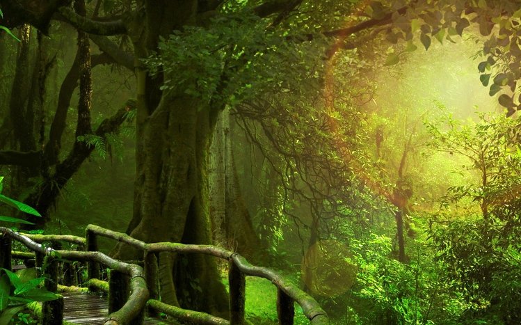 Tropical Rainforest Theme screenshot #10