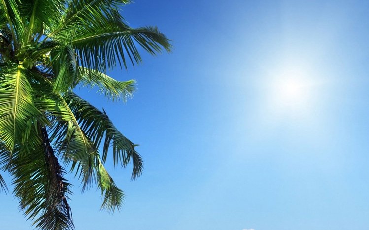 Tropical Beach Theme screenshot #10