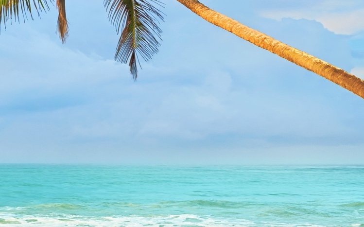 Tropical Beach Theme screenshot #13