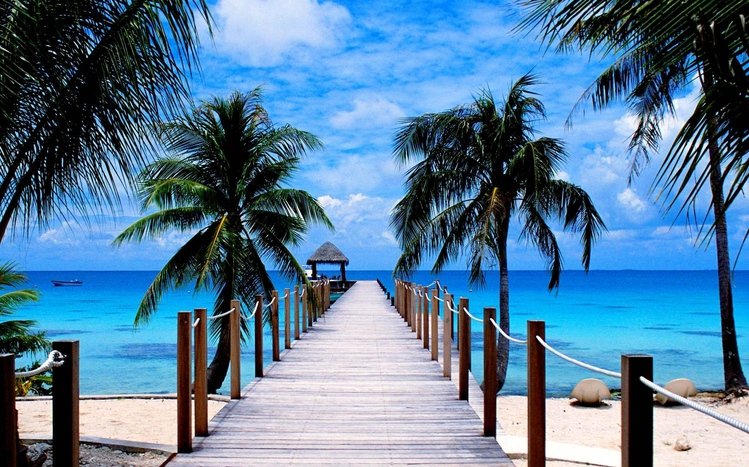 Tropical Beach Theme screenshot #9