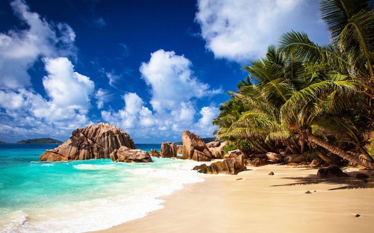 Tropical Beach Theme screenshot #4