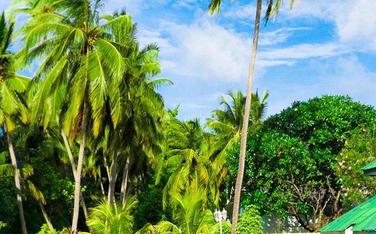 Tropical Beach Theme screenshot #8