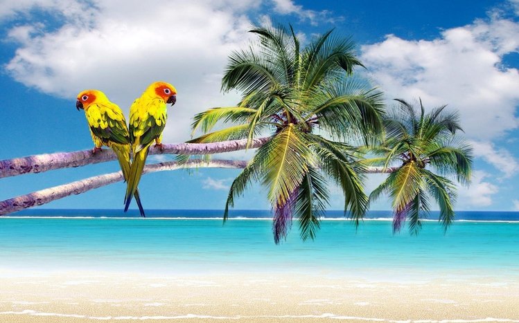 Tropical Beach Theme screenshot #6
