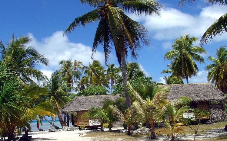 Tropical Beach Theme screenshot #2