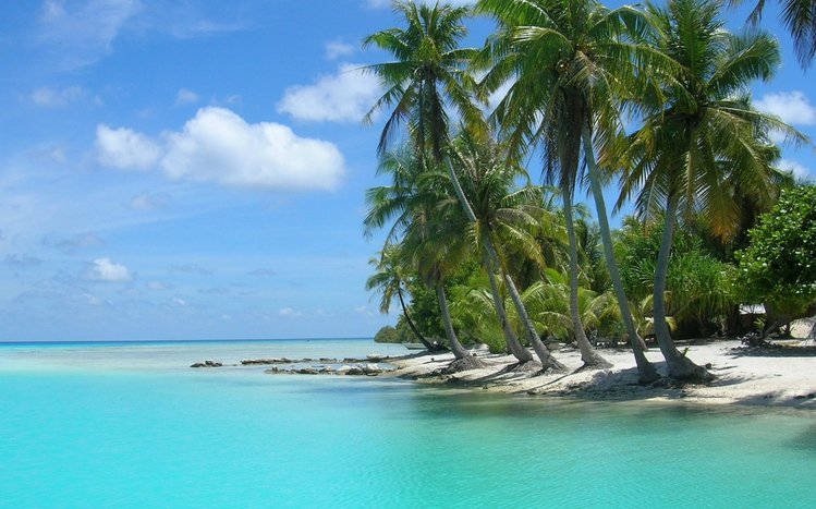 Tropical Beach Theme screenshot #12