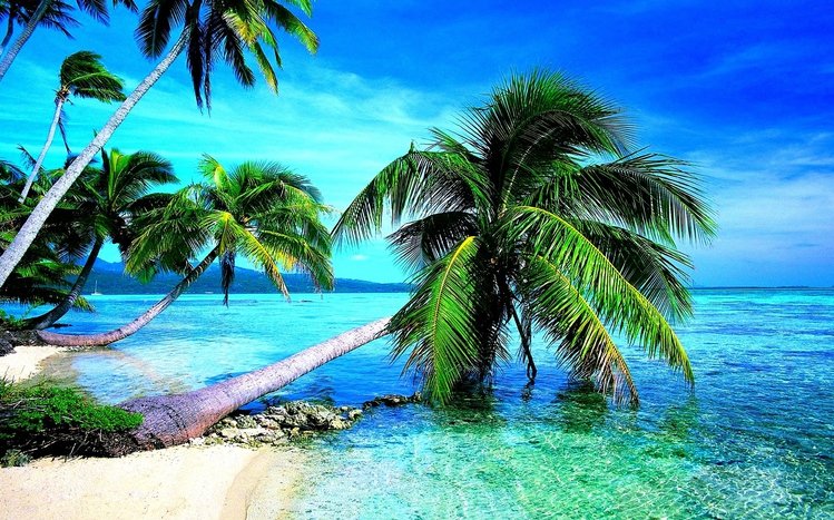 Tropical Beach Theme screenshot #11
