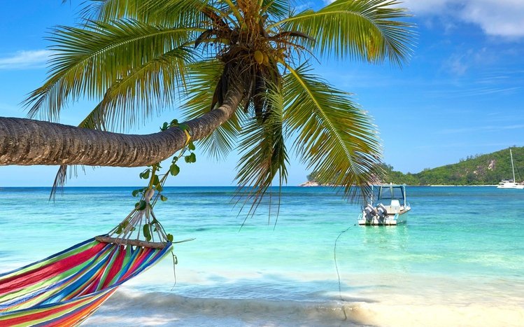 Tropical Beach Theme screenshot #16