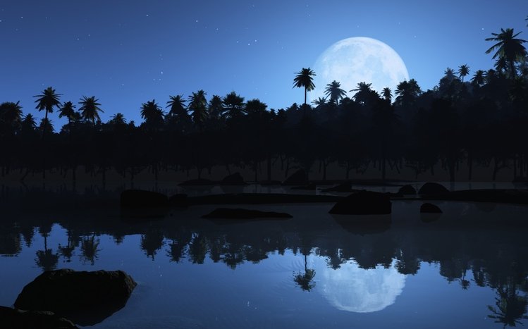 Night Beach Theme screenshot #1