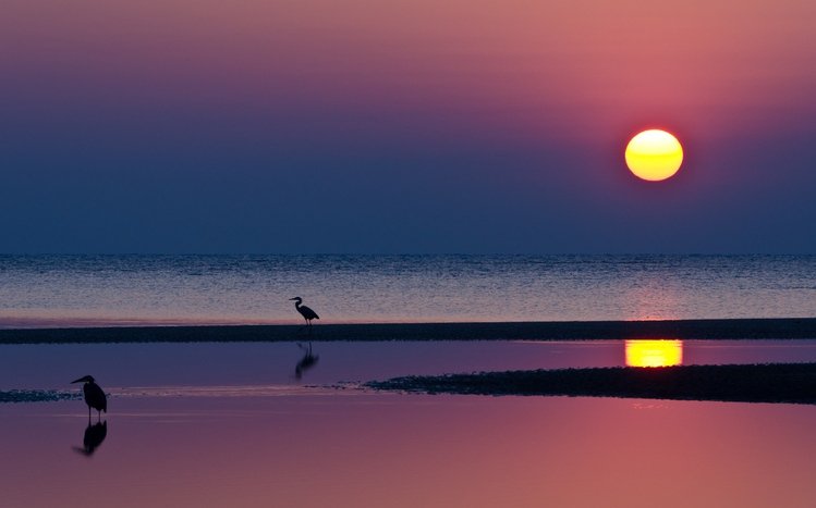 Beach (Pink) Theme screenshot #1