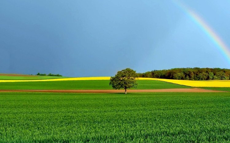 Green Tree Theme screenshot #11