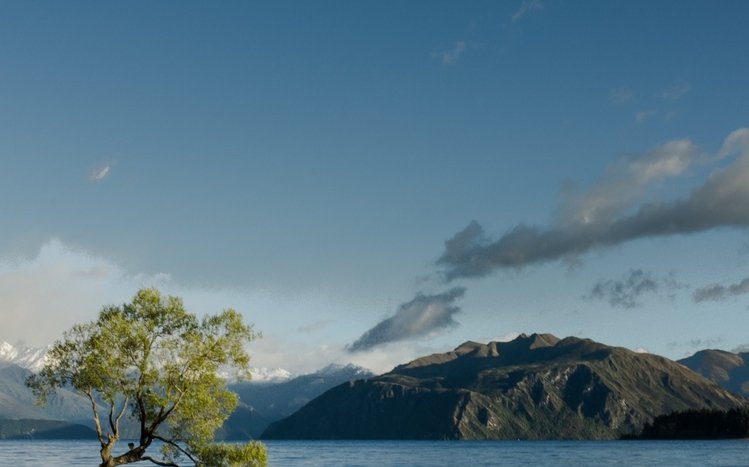 Green Tree Theme screenshot #14