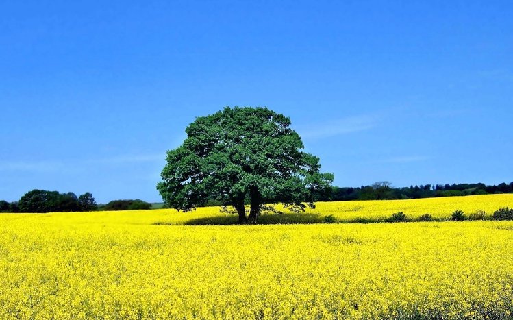 Green Tree Theme screenshot #5