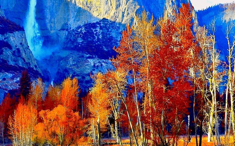 Autumn Tree Theme screenshot #5