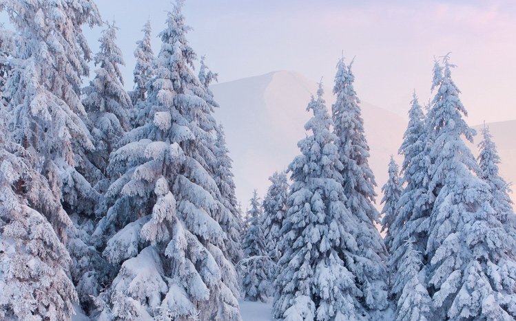 White Winter Tree Theme screenshot #12