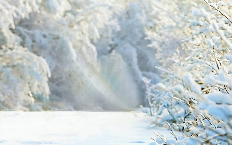 White Winter Tree Theme screenshot #5