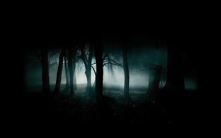 Dark Trees Theme screenshot #7