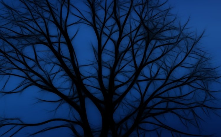Dark Trees Theme screenshot #13