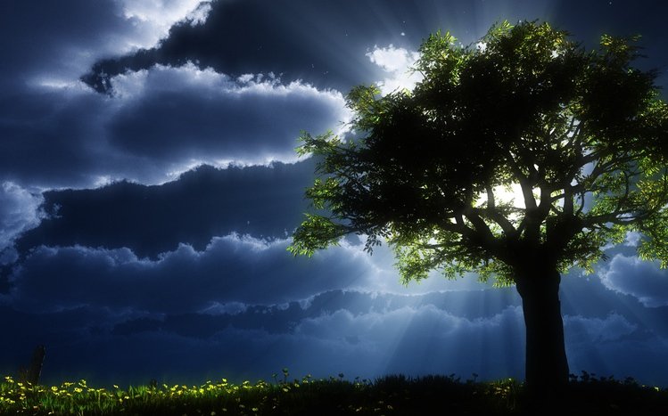 Dark Trees Theme screenshot #1