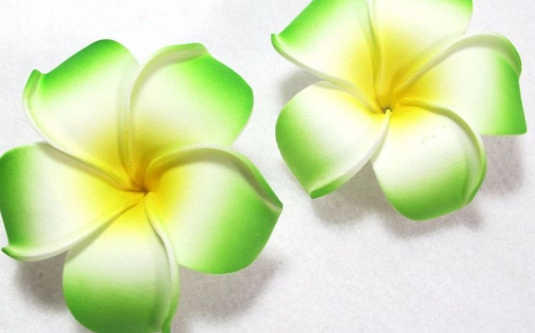 Frangipani Theme screenshot #15