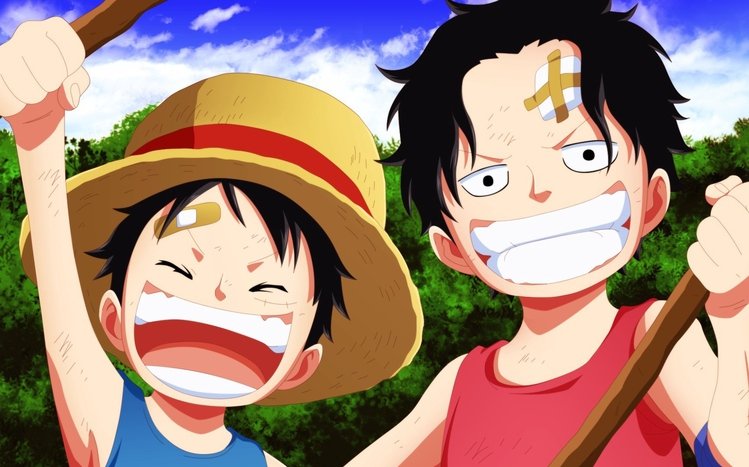 Portgas D. Ace Theme screenshot #10