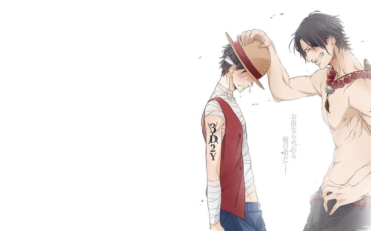 Portgas D. Ace Theme screenshot #13