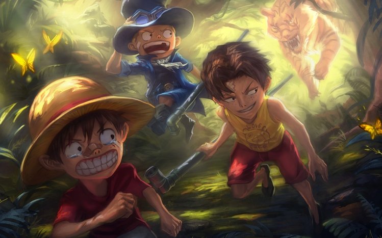 Portgas D. Ace Theme screenshot #4