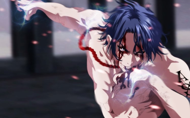 Portgas D. Ace Theme screenshot #5