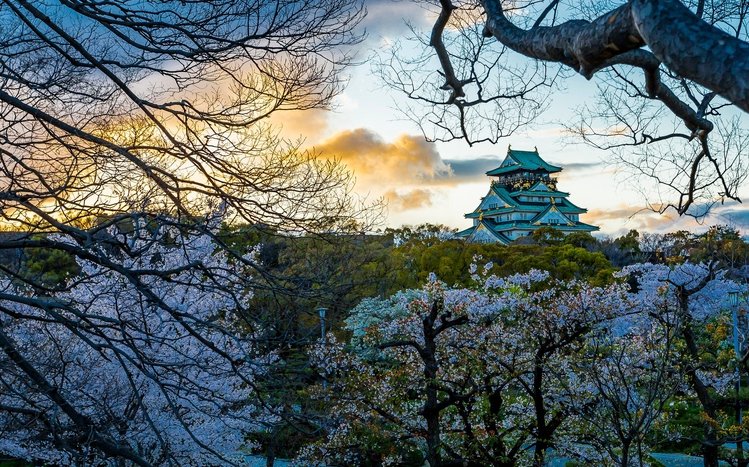 Landscape of Japan Theme screenshot #12