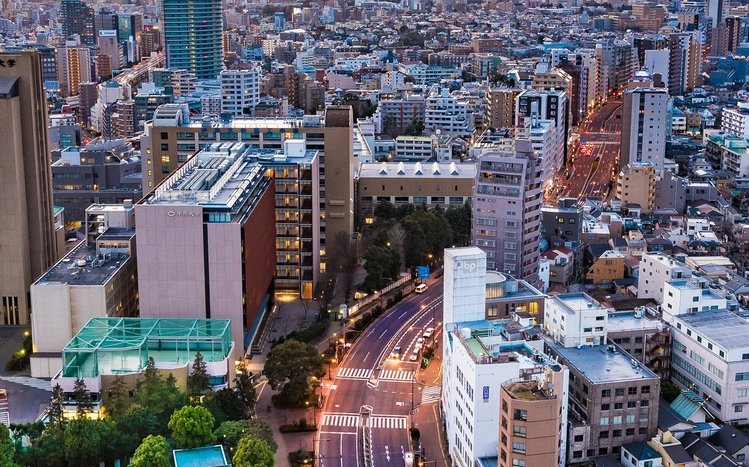 Tokyo Theme screenshot #8