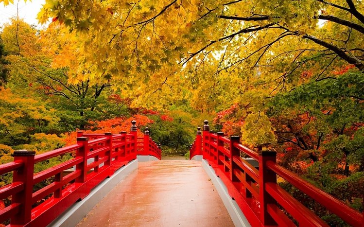 Japanese Garden Theme screenshot #6