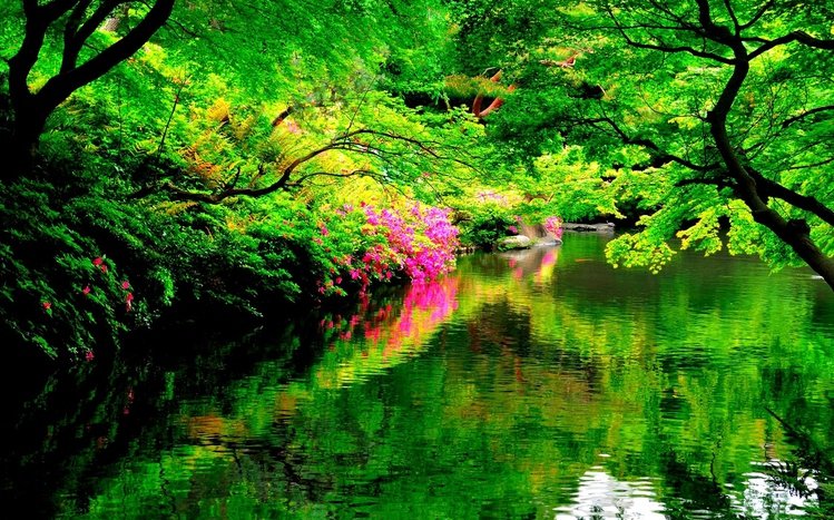 Japanese Garden Theme screenshot #7