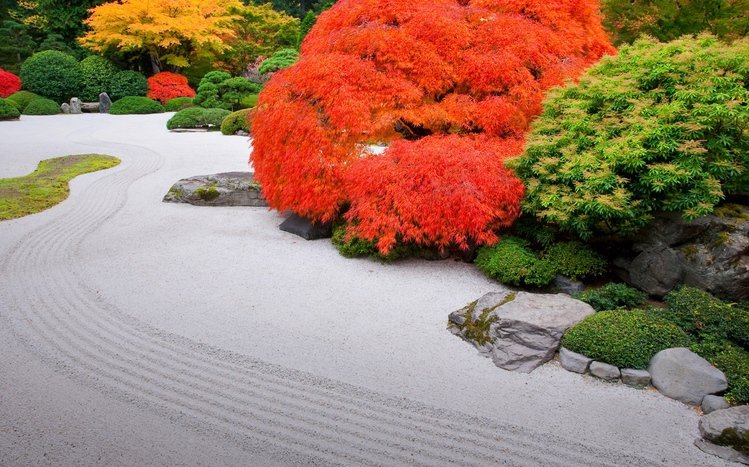 Japanese Garden Theme screenshot #12