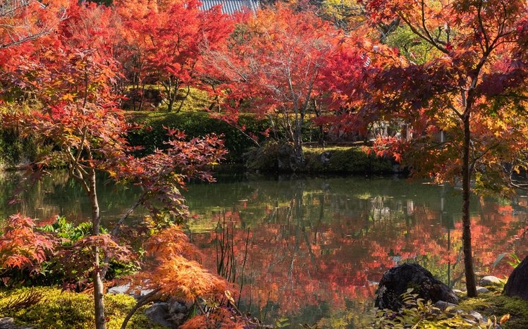 Japanese Garden Theme screenshot #14