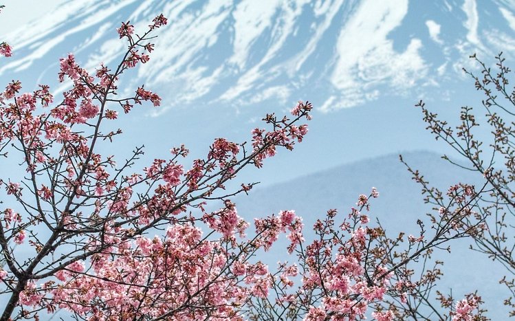 Mount Fuji Theme screenshot #11