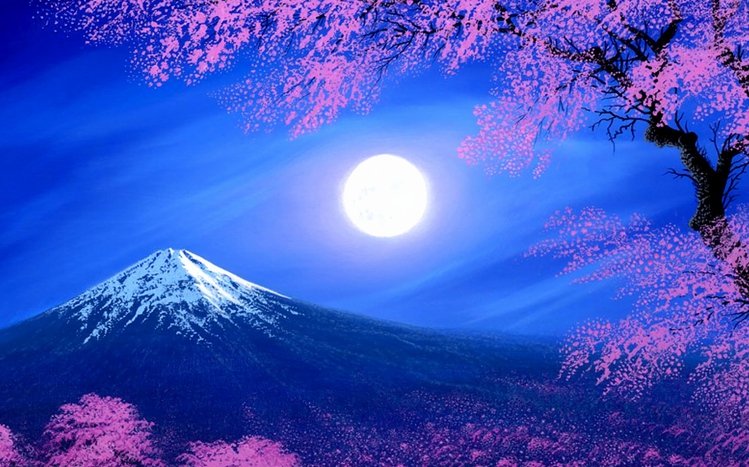 Mount Fuji Theme screenshot #9
