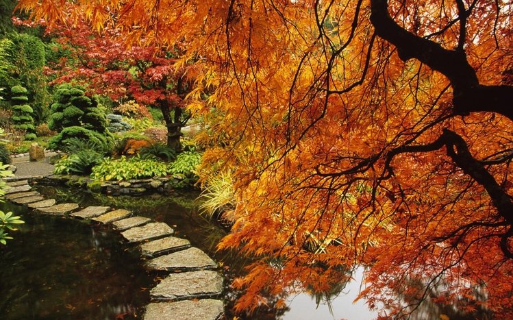 Autumn in Japan Theme screenshot #5