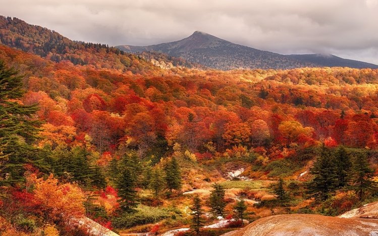 Autumn in Japan Theme screenshot #4