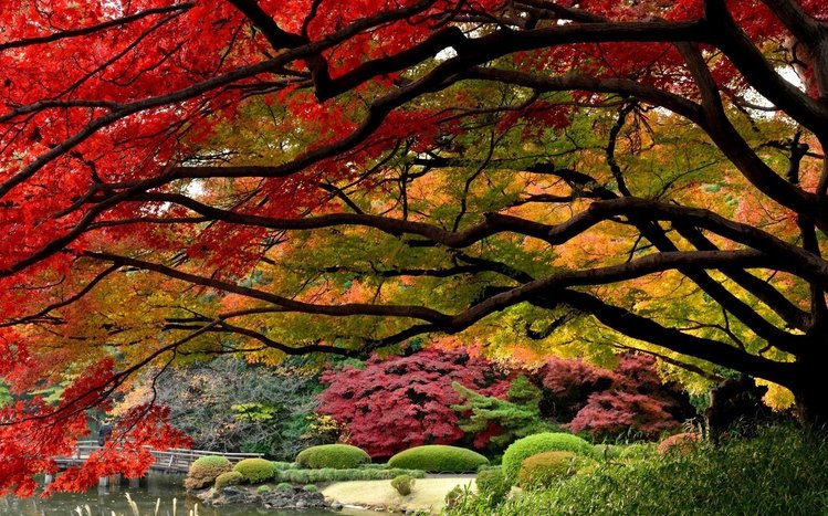 Autumn in Japan Theme screenshot #2