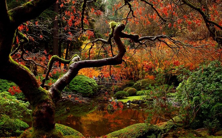 Autumn in Japan Theme screenshot #1