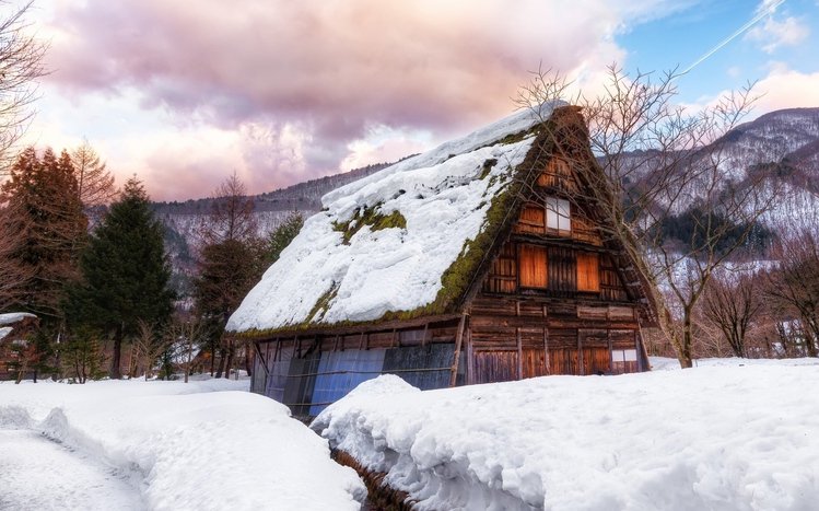 Japanese Winter Theme screenshot #2