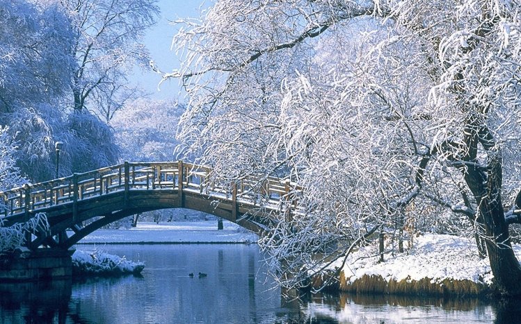 Japanese Winter Theme screenshot #5