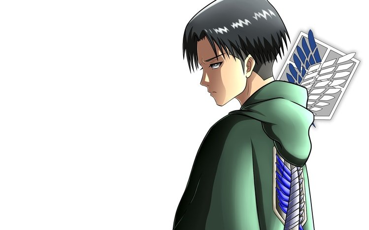Levi Ackerman Theme screenshot #12