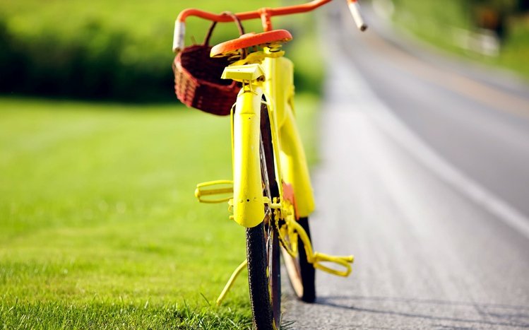 Bicycle Theme screenshot #9